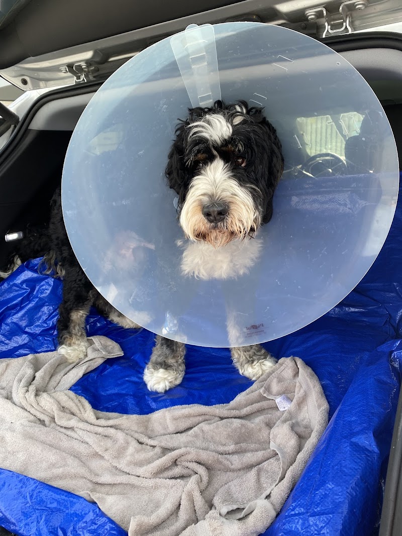 Airport Animal Emergi-Center photo 3