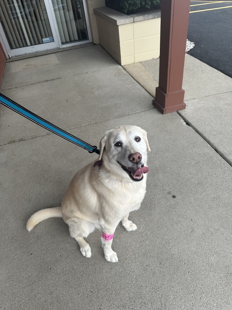 Plaza Veterinary Hospital