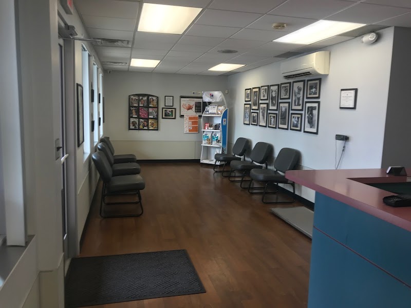 Plaza Veterinary Hospital photo 2