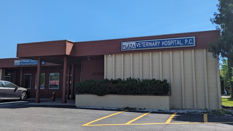 Plaza Veterinary Hospital photo 3