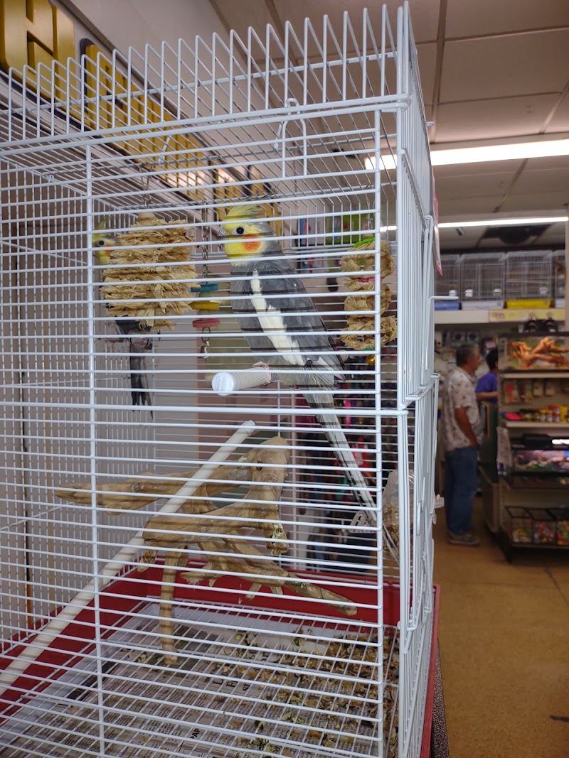 Pampered Pets photo 3