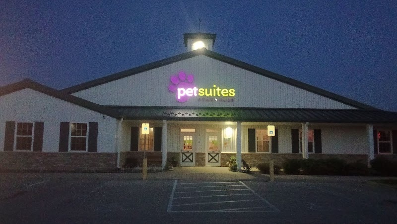 PetSuites Indianapolis Northwest photo 3