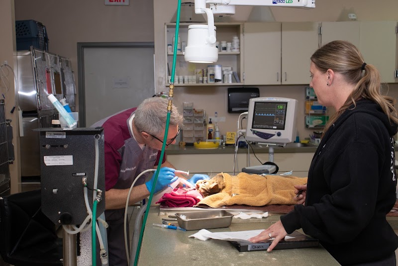 Advanced Animal Hospital Group photo 2