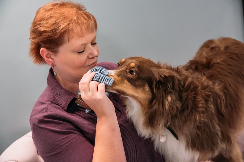 Bow Wow Meow Boutique photo 3