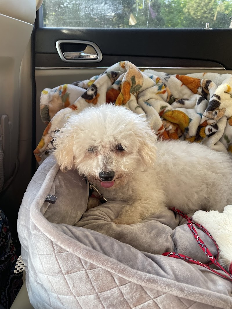 Detroit Dover Animal Hospital photo 2