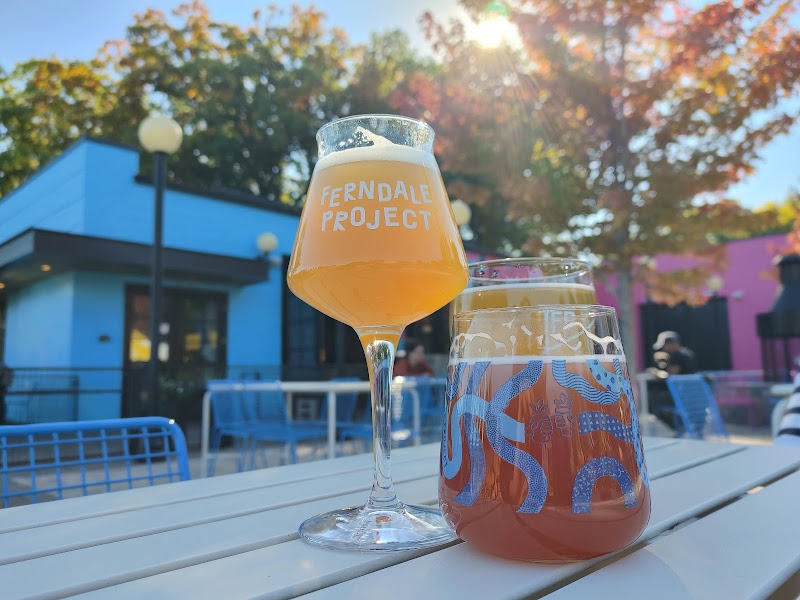 Ferndale Project photo 2