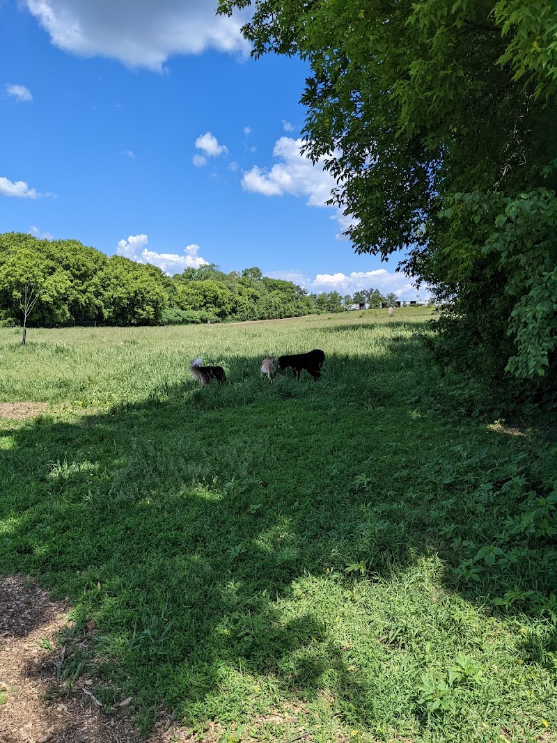 Bloomington Dog Park