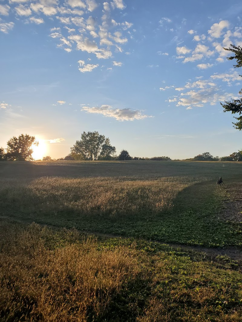Bloomington Dog Park photo 2