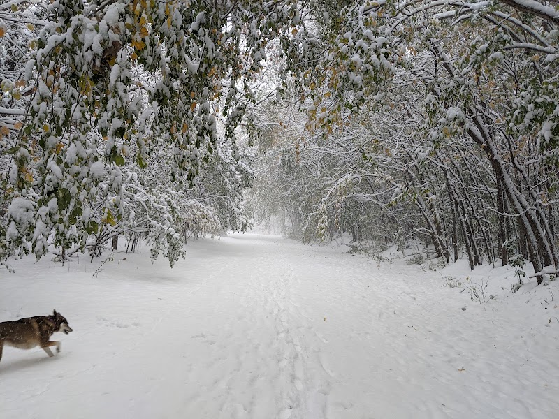 Bloomington Dog Park photo 3