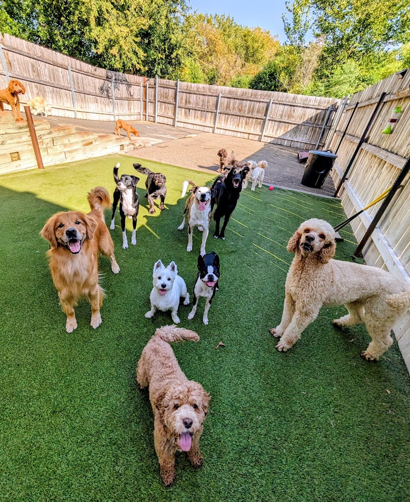 Wag 'n Woofs photo 2