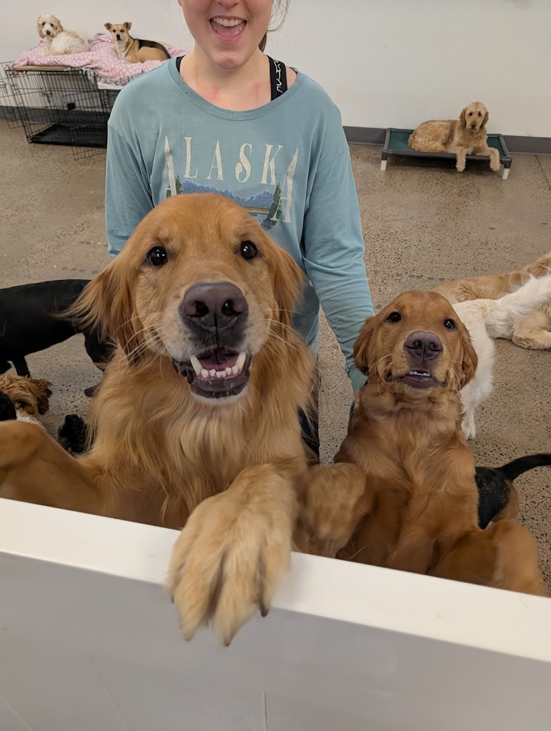 Wag 'n Woofs photo 3