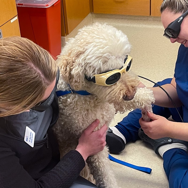 VCA Companion Animal Medical Center photo 3