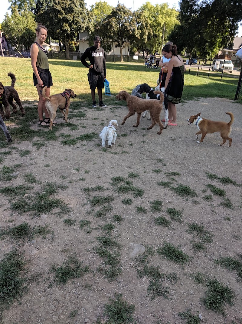 Roverwest Dog Exercise Area photo 2