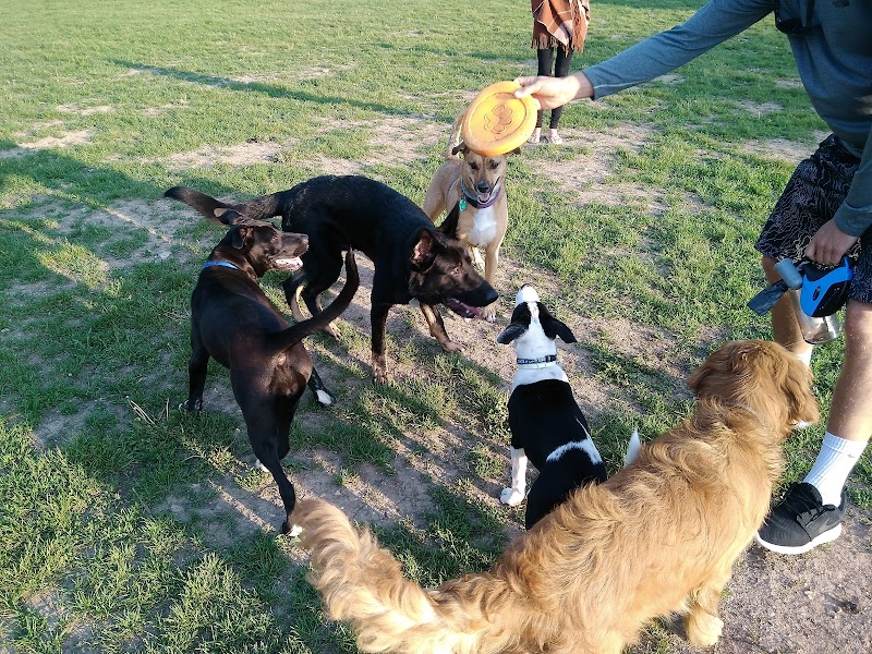 Roverwest Dog Exercise Area photo 3