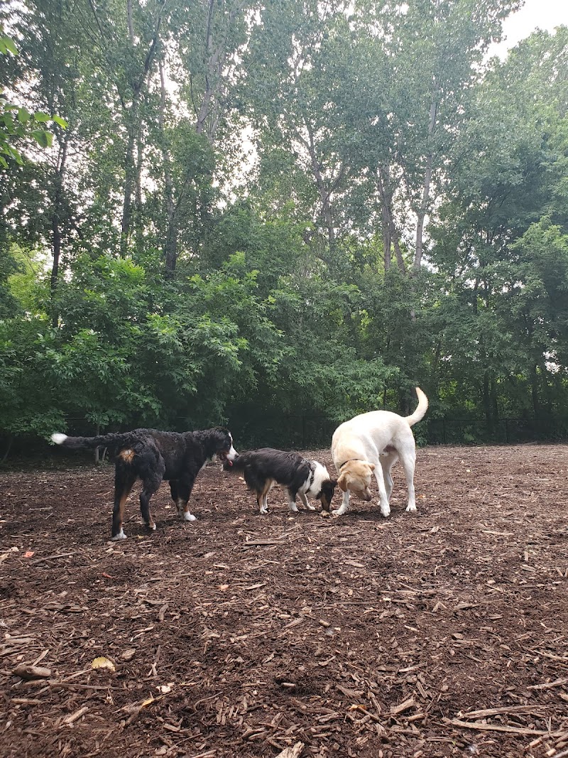 Lake of the Isles Dog Park photo 2