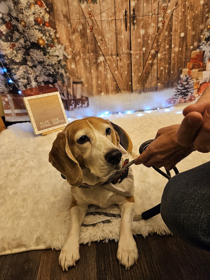 Life Care Animal Hospital photo 3