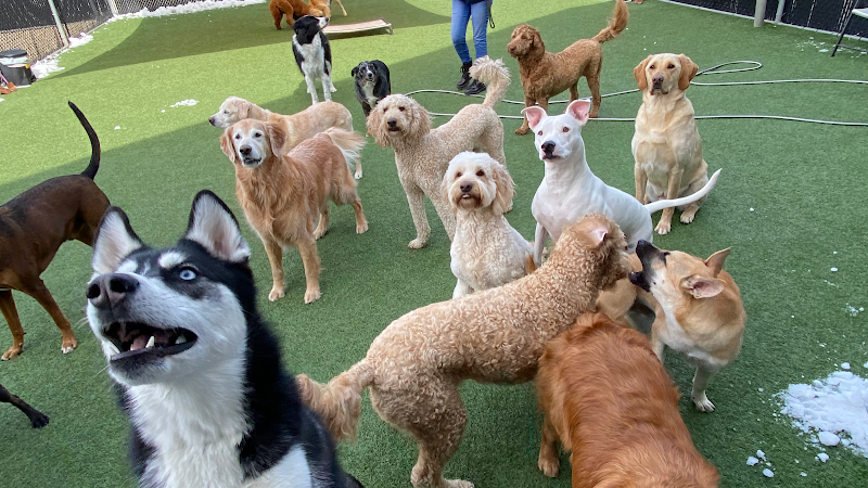 Cleveland Bed & Biscuit