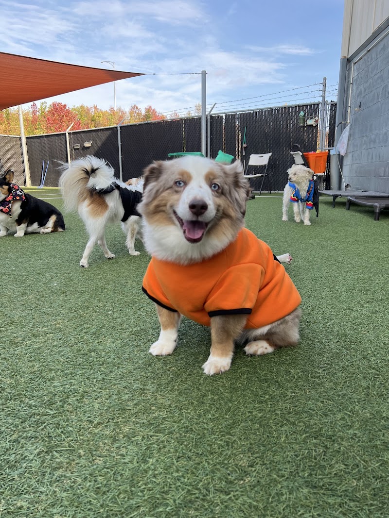 Cleveland Bed & Biscuit photo 2