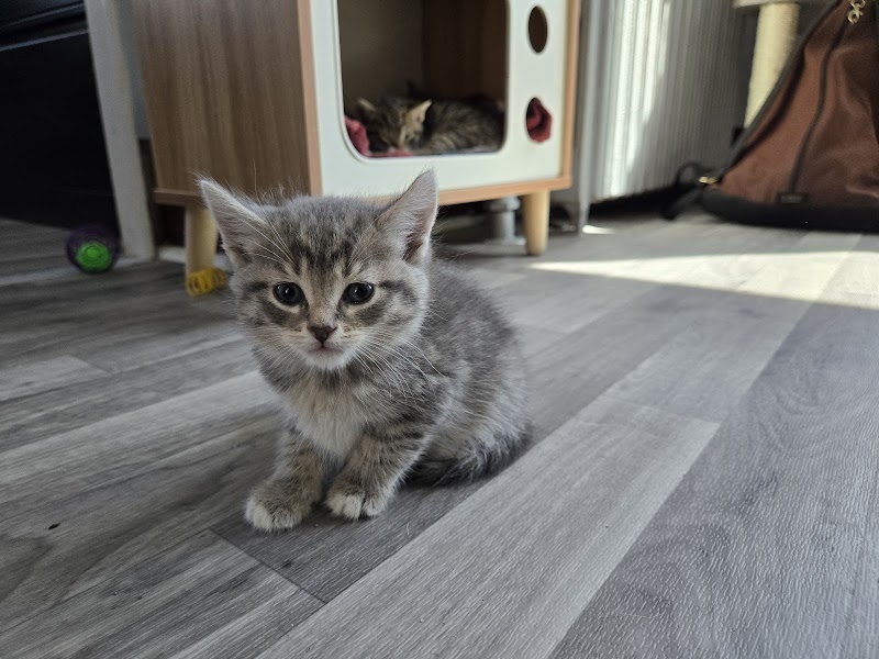 Touched by an Animal photo 3