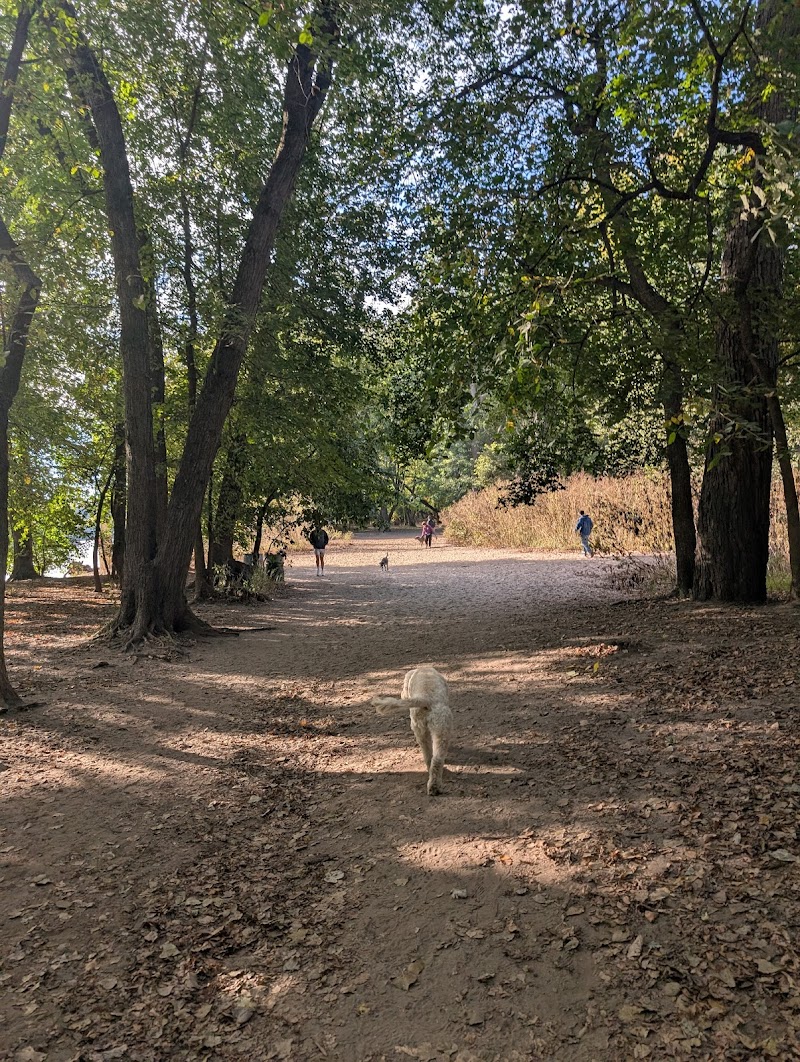 Minnehaha Off-Leash Recreation Area photo 2