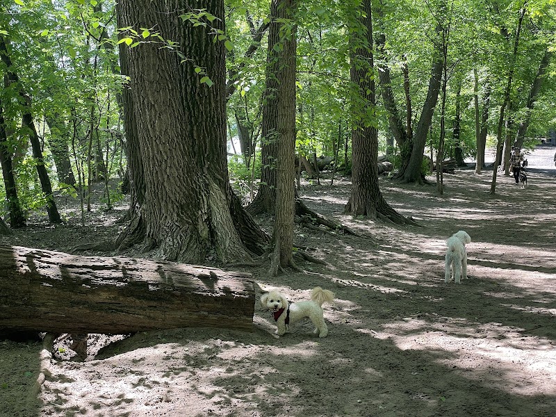 Minnehaha Off-Leash Recreation Area photo 3
