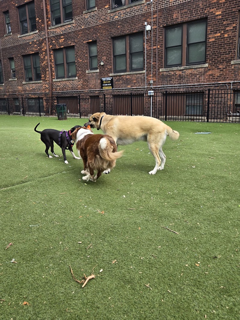 Midtown Dog Park