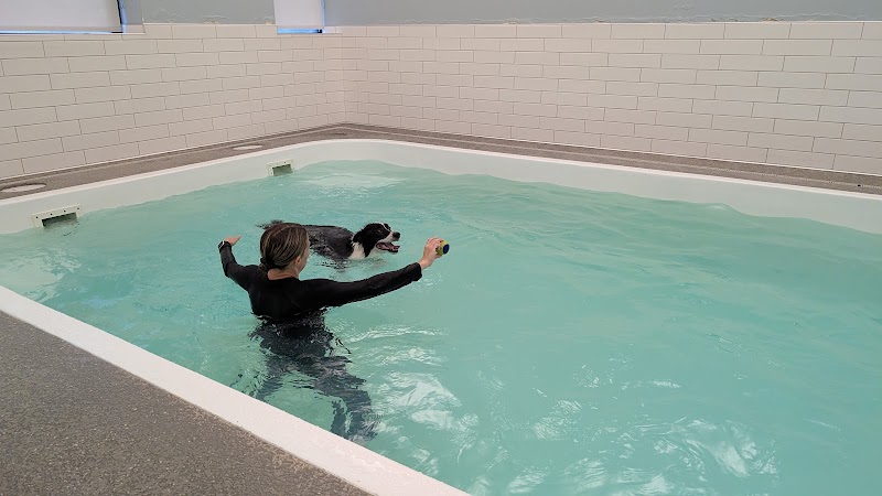 Wag 'N Paddle photo 2