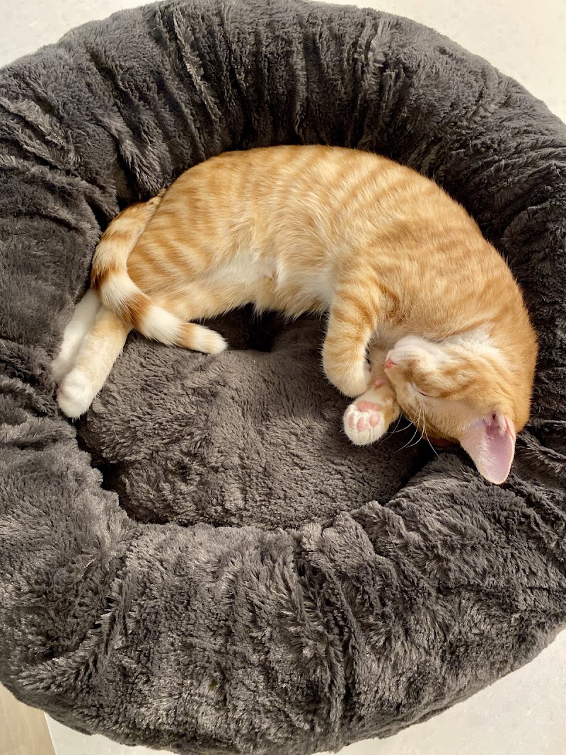 West Suburban Humane Society photo 3