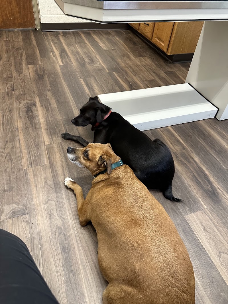 VCA Lakewood Animal Hospital