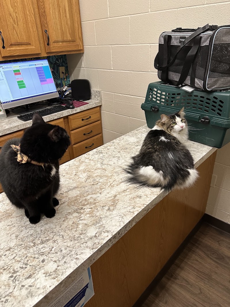 VCA Lakewood Animal Hospital photo 2