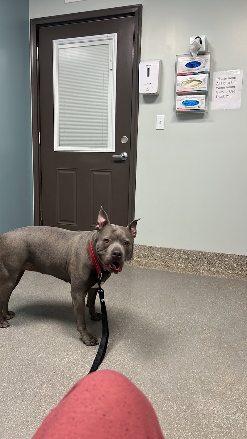 Paws and Feathers Emergency Hospital photo 3