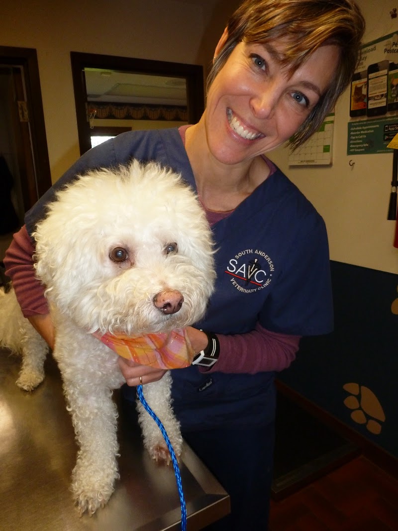 South Anderson Veterinary Clinic photo 3