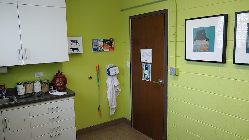 Tyson Grover - Friendly Vet Animal Hospital photo 2