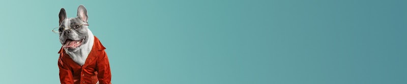 Wisconsin Humane Society Spay / Neuter Clinic