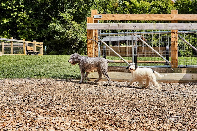 Central Park Dog Park photo 2