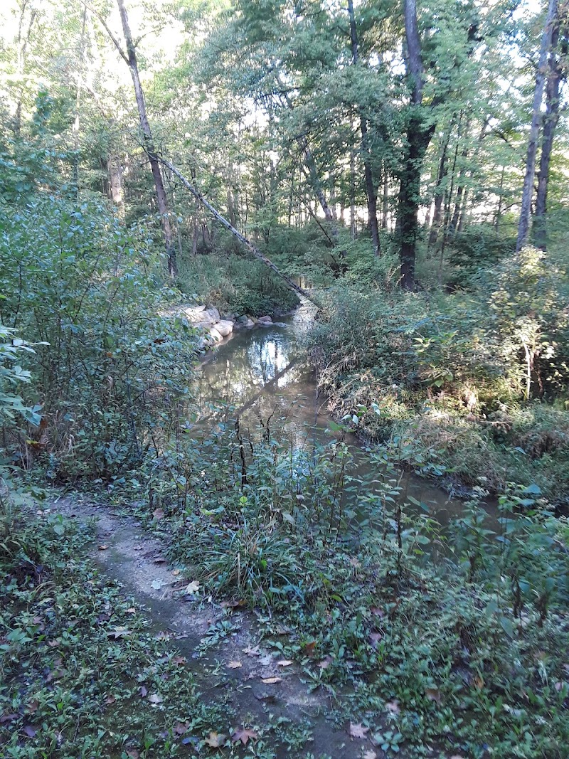 Central Park Dog Park photo 3