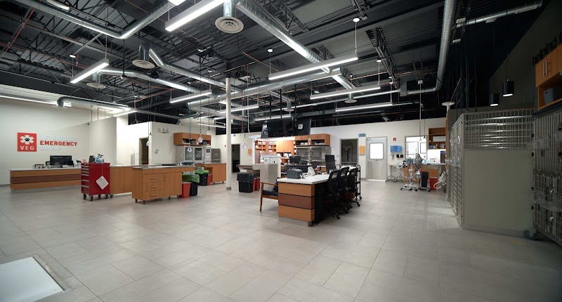 Veterinary Emergency Group photo 2