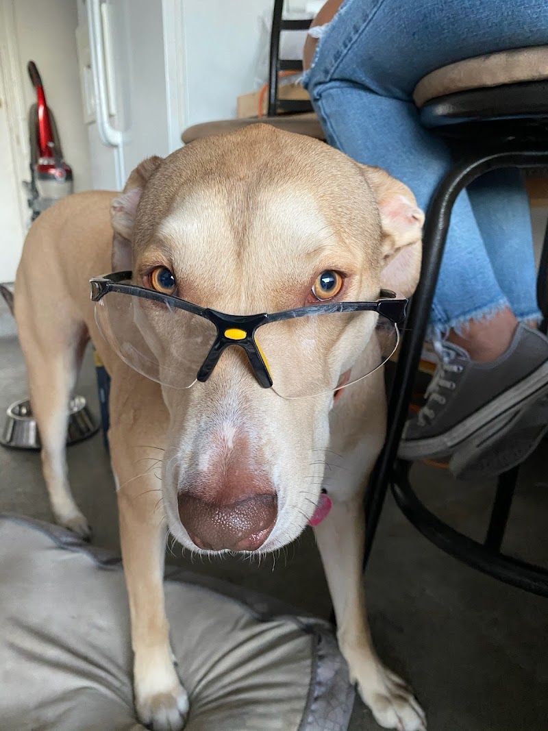 A Home 4 Spot photo 2