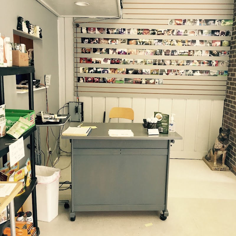 Precious Paws photo 3