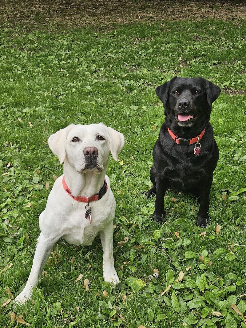 Jagersbo Kennels photo 2