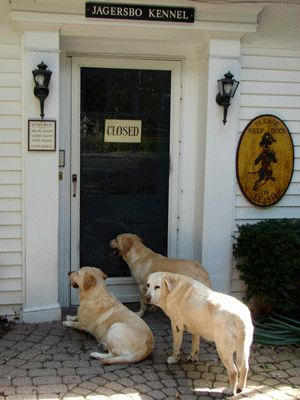 Jagersbo Kennels photo 3