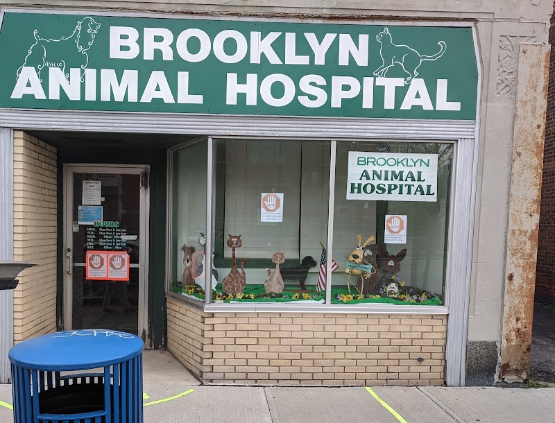Brooklyn Animal Hospital