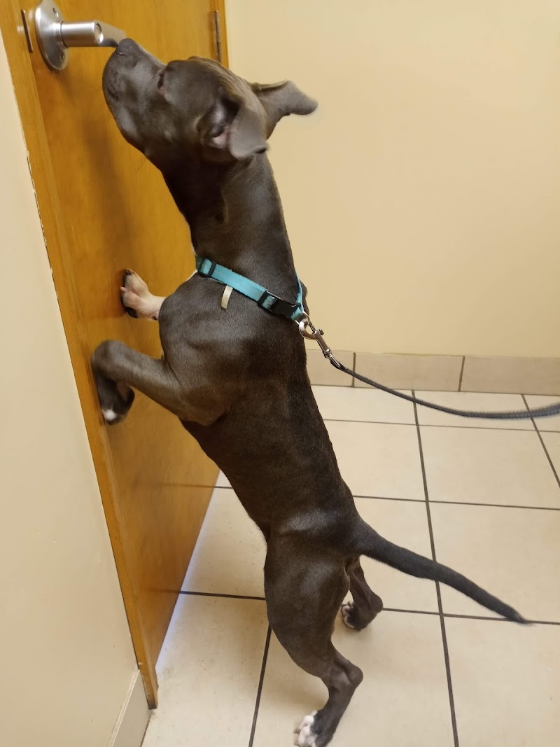 Animal Care Hospital photo 2