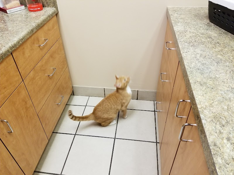 Animal Care Hospital photo 3