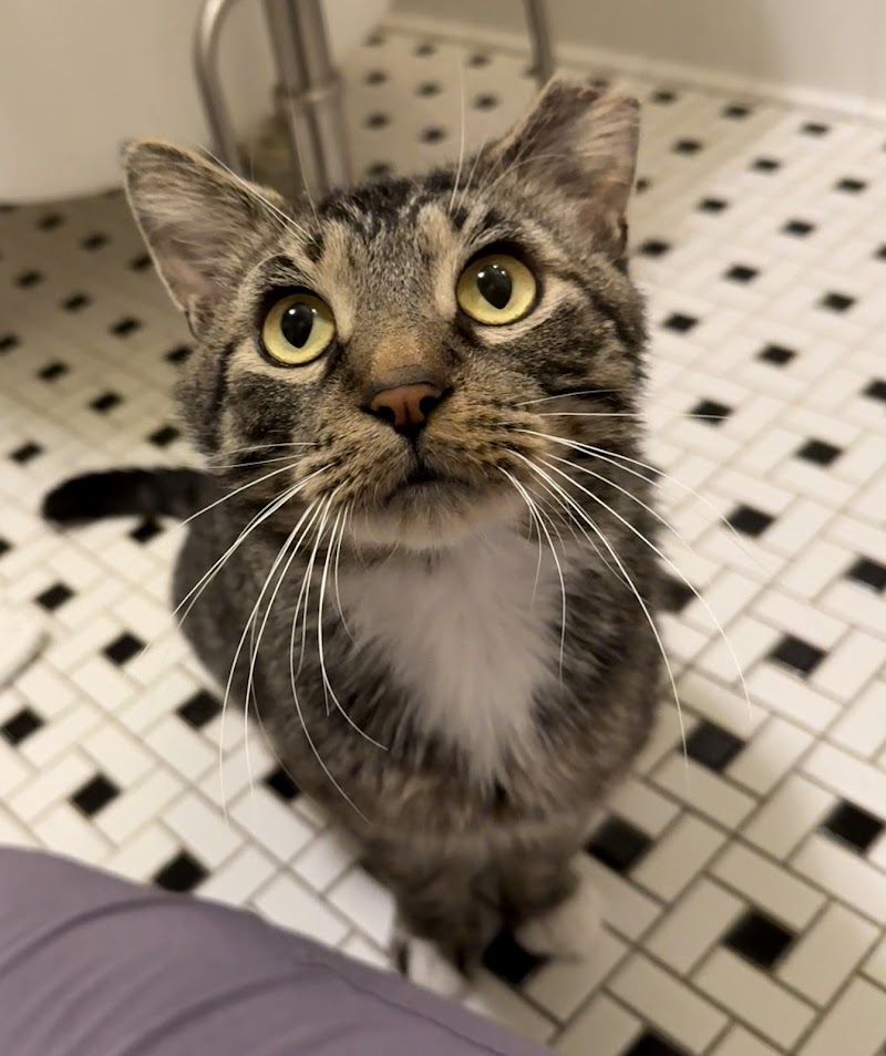 The Bond Between photo 3