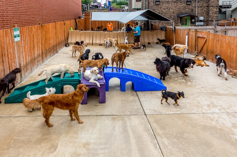 Dogaholics Service Center photo 2