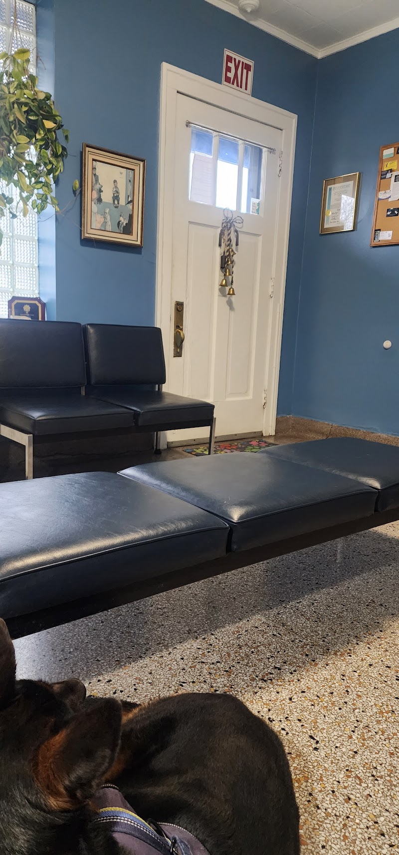 Lafond Veterinary Hospital photo 3