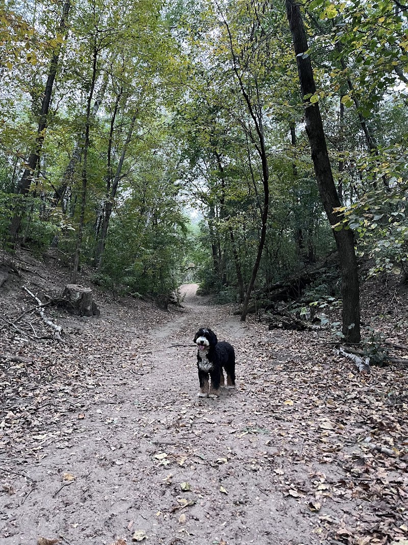Staring Lake Dog Park