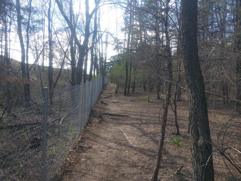 Staring Lake Dog Park photo 2