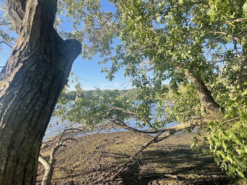 Staring Lake Dog Park photo 3